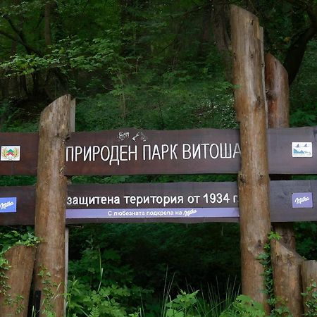 Pinus Villas Lodge With Private Jacuzzi & Phyto-Sauna Retreat Zheleznitsa 外观 照片