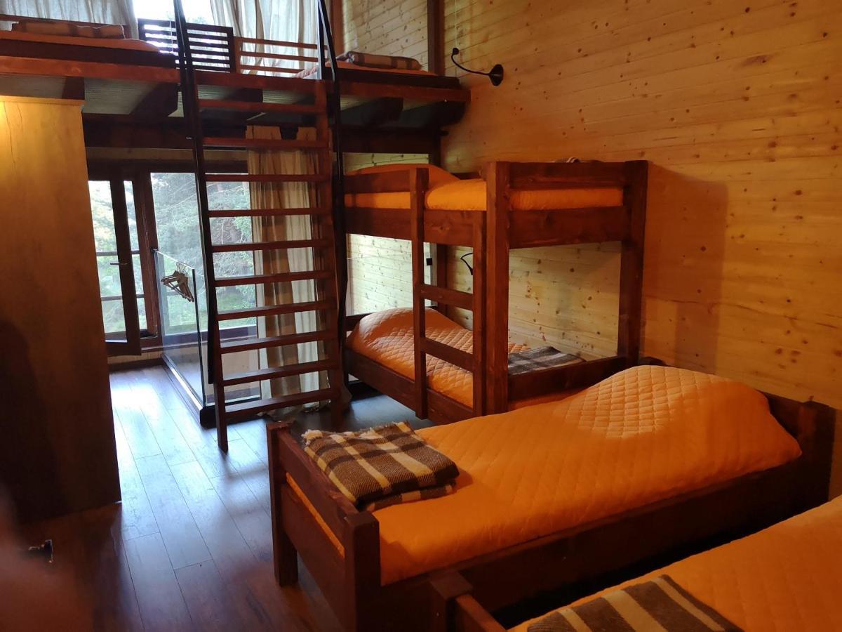 Pinus Villas Lodge With Private Jacuzzi & Phyto-Sauna Retreat Zheleznitsa 外观 照片