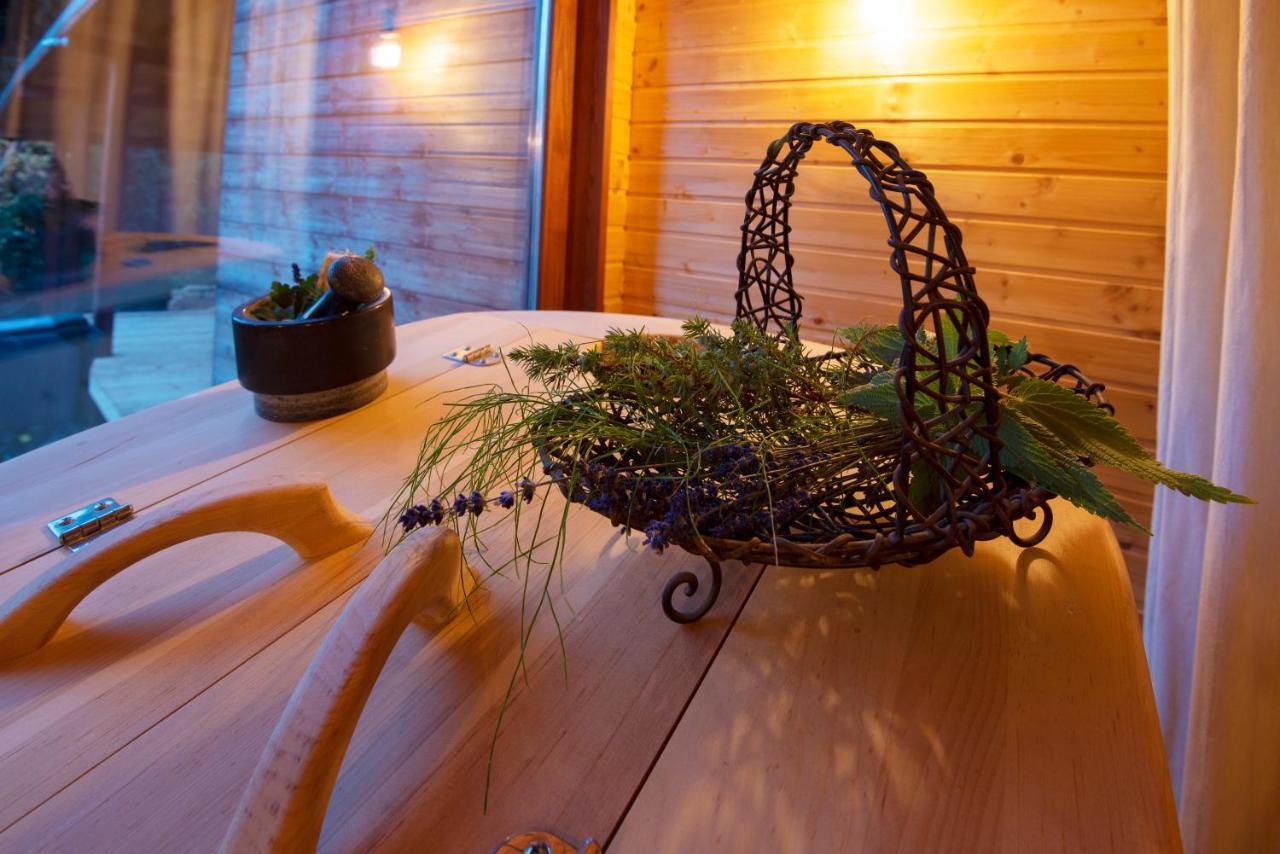 Pinus Villas Lodge With Private Jacuzzi & Phyto-Sauna Retreat Zheleznitsa 外观 照片