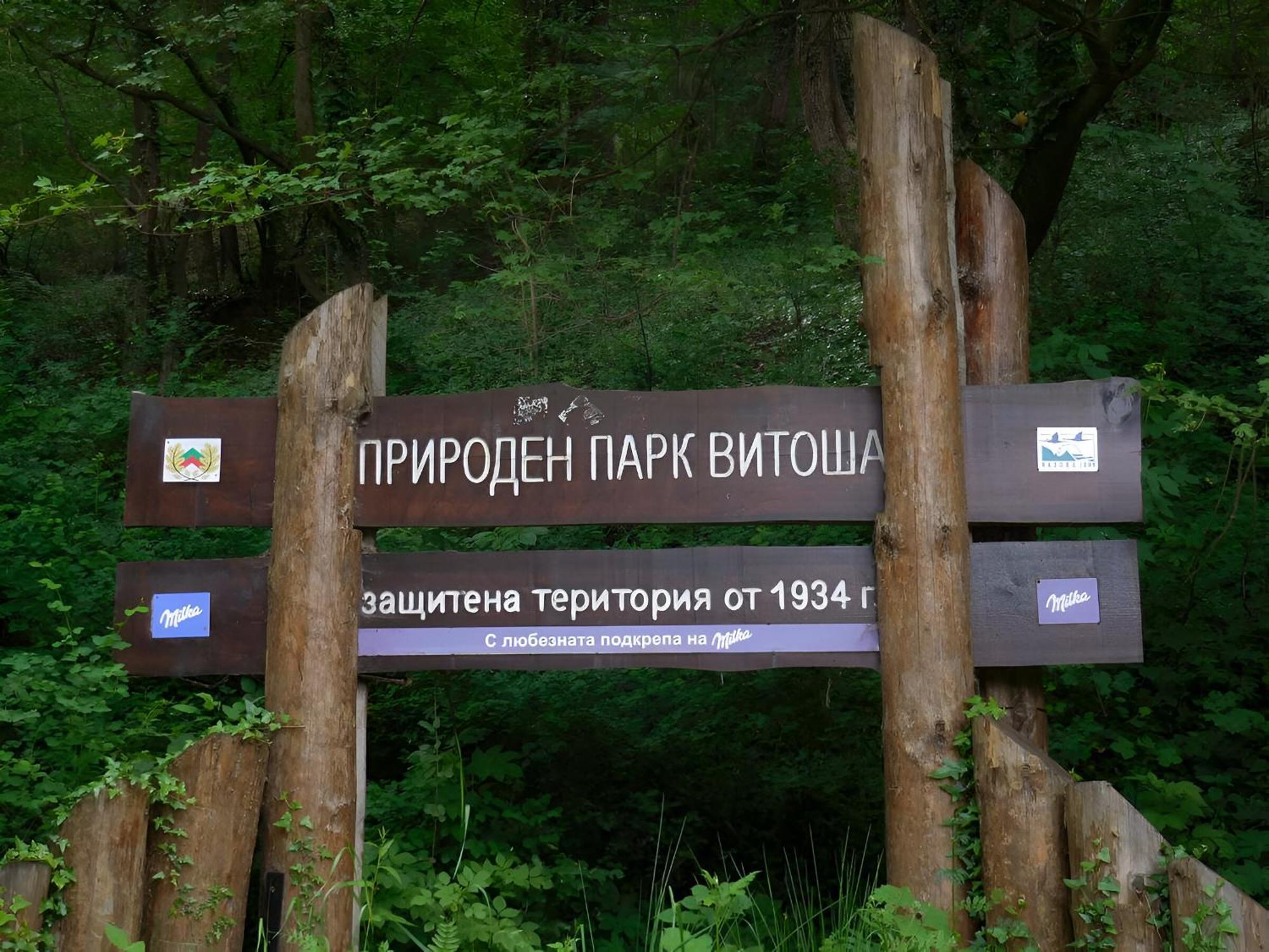 Pinus Villas Lodge With Private Jacuzzi & Phyto-Sauna Retreat Zheleznitsa 外观 照片