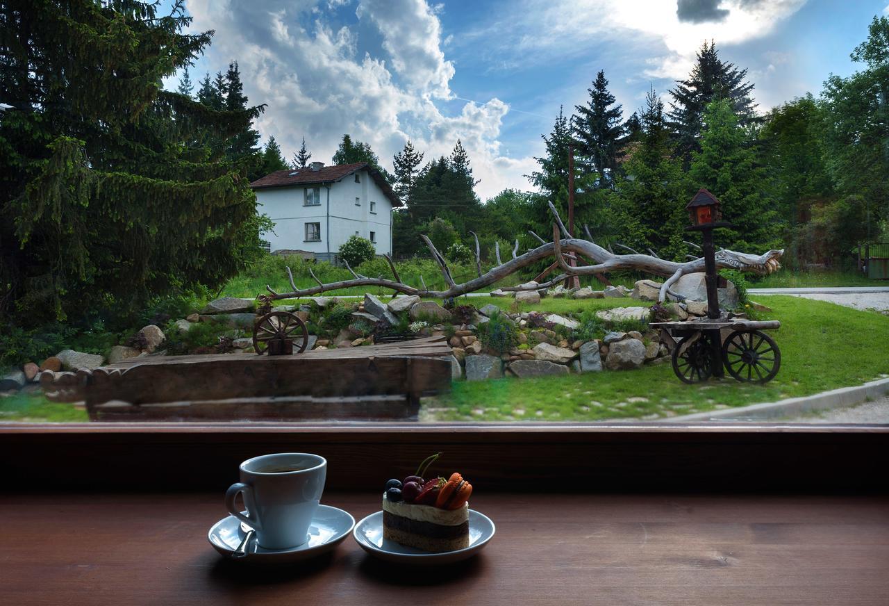 Pinus Villas Lodge With Private Jacuzzi & Phyto-Sauna Retreat Zheleznitsa 外观 照片